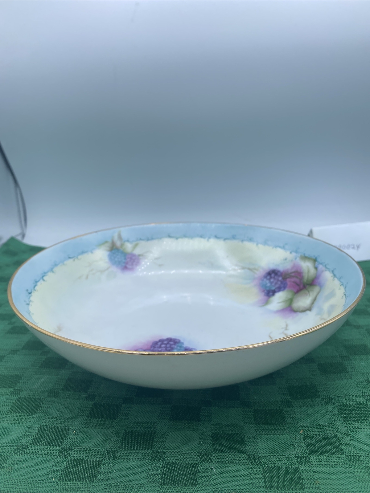 Antique Blackberry Hand Painted Porcelain Bowl Unbranded 9” Diameter