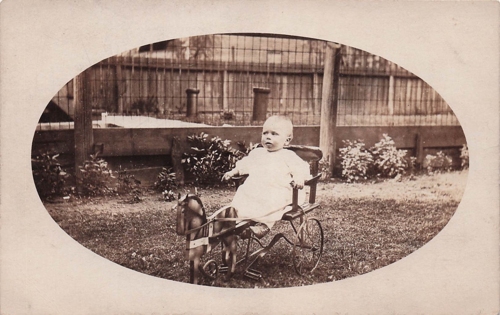 Early 1900s Child Photo Bicycle Tricycle Wooden Horse toy Antique Postcard I55