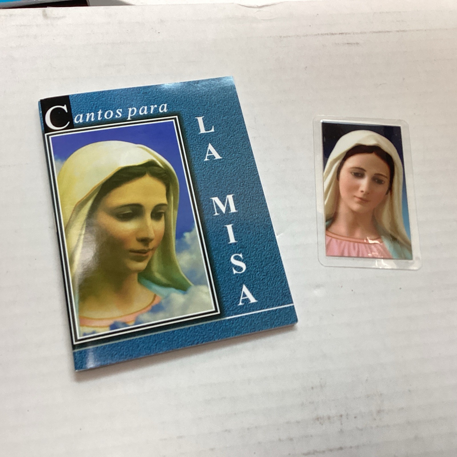 CANTOS PARA LA MISA CORONILLA FAVORS PROTECTION PRAYERS MIRACLES MASS SONGS BOOK
