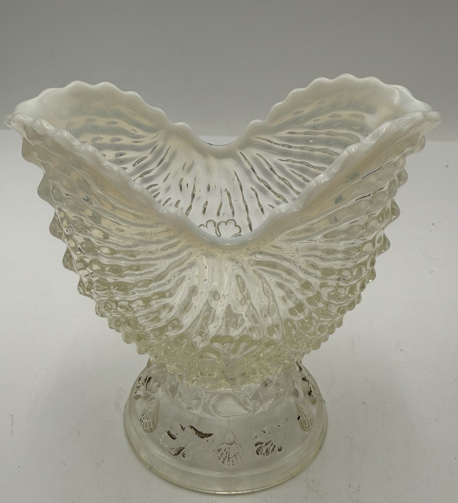 NORTHWOOD WHITE OPALESCENT GLASS ARGONAUT NAUTILUS SHELL SUGAR , SPOONER? D32