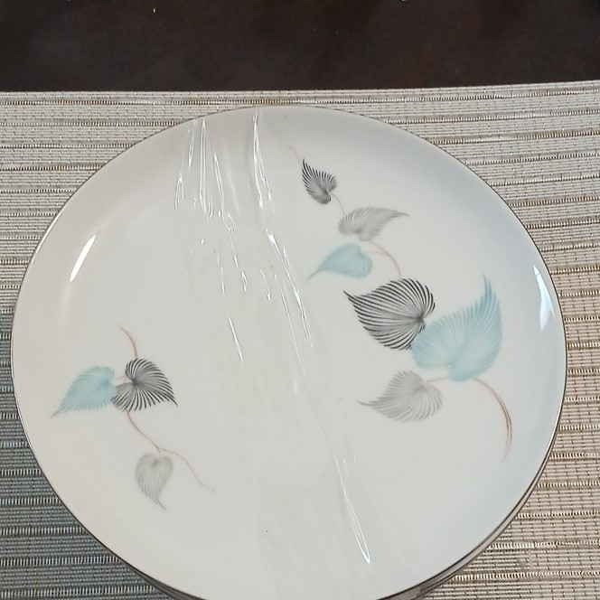 Eschenbach Baronet Salad Plates Set of 6 silver arbor Porcelain W2826 Eschenbach Baronet Salad Plates Set of 6 silver arbor Porcelain W2826