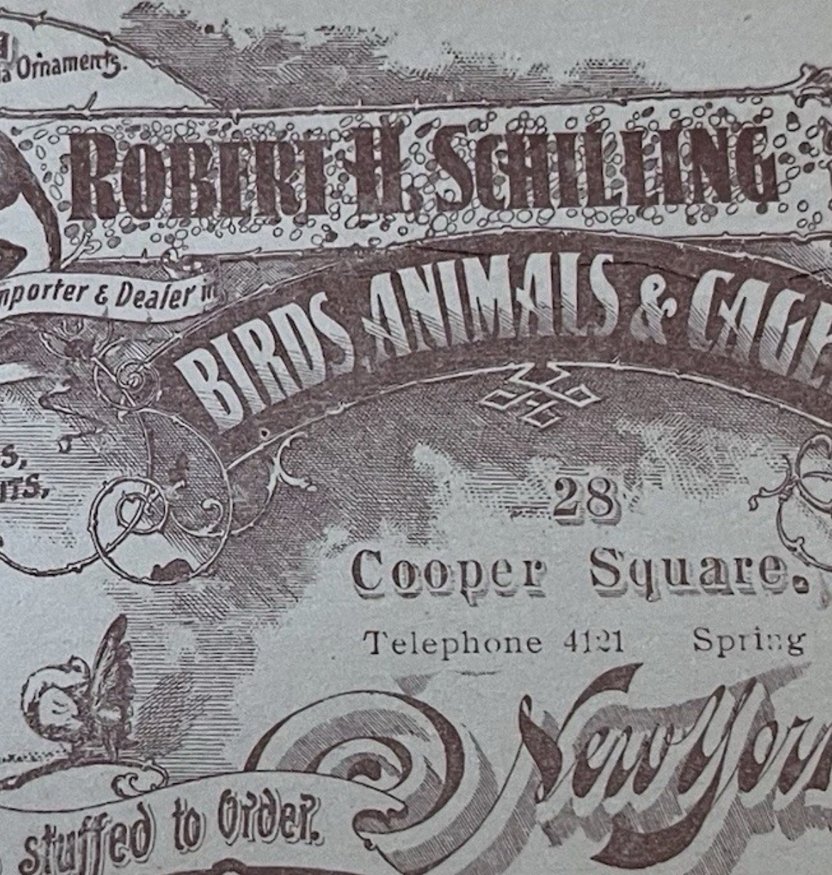SIGNED 1900 Trade Card Robert Schilling Animals Birds Cages New York Victorian