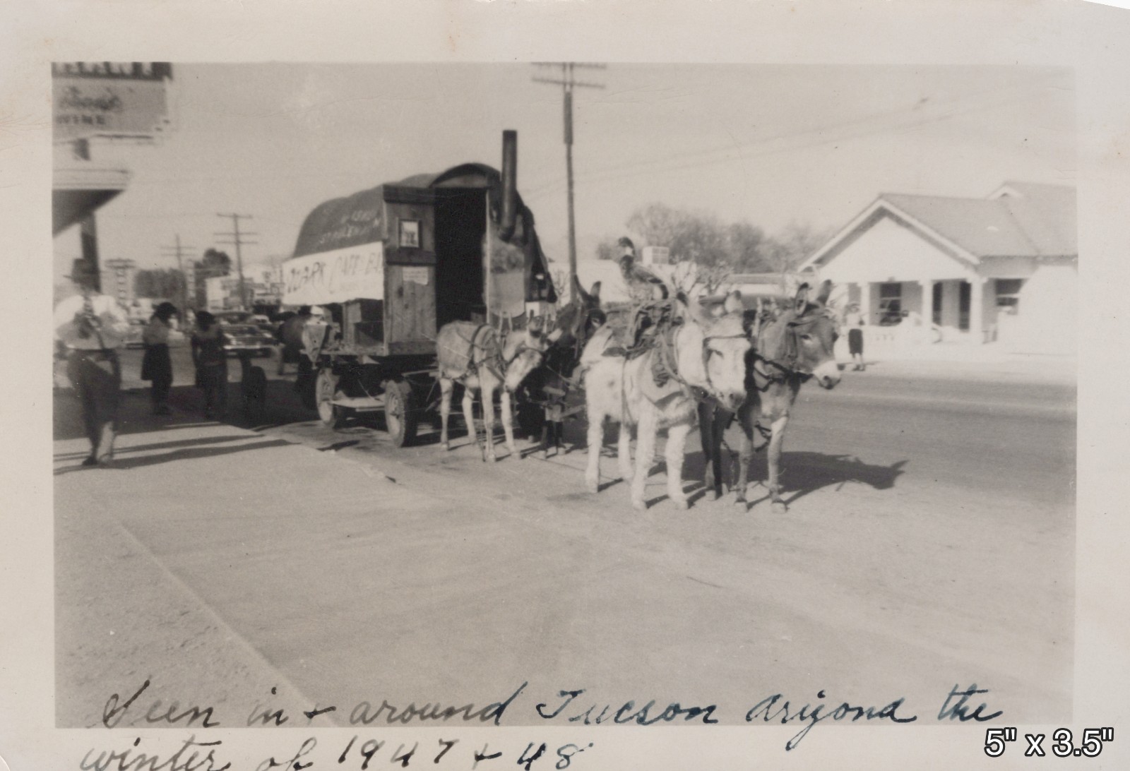 1947 Burro Donkey Team Covered Wagon Tucson Arizona Old West VINTAGE PHOTO