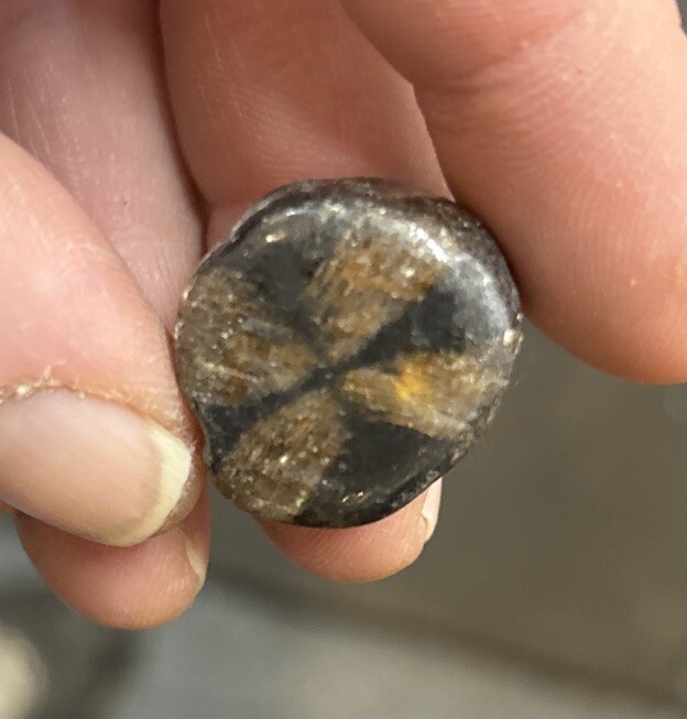 10 Pieces Of Tumbled Chiastolite Average Size 15 Grams