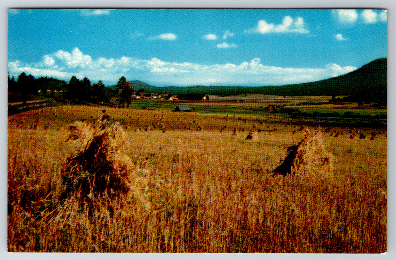 c1960s After The Harvest Hay Field Farm Plains Valley Postcard Lot of 100