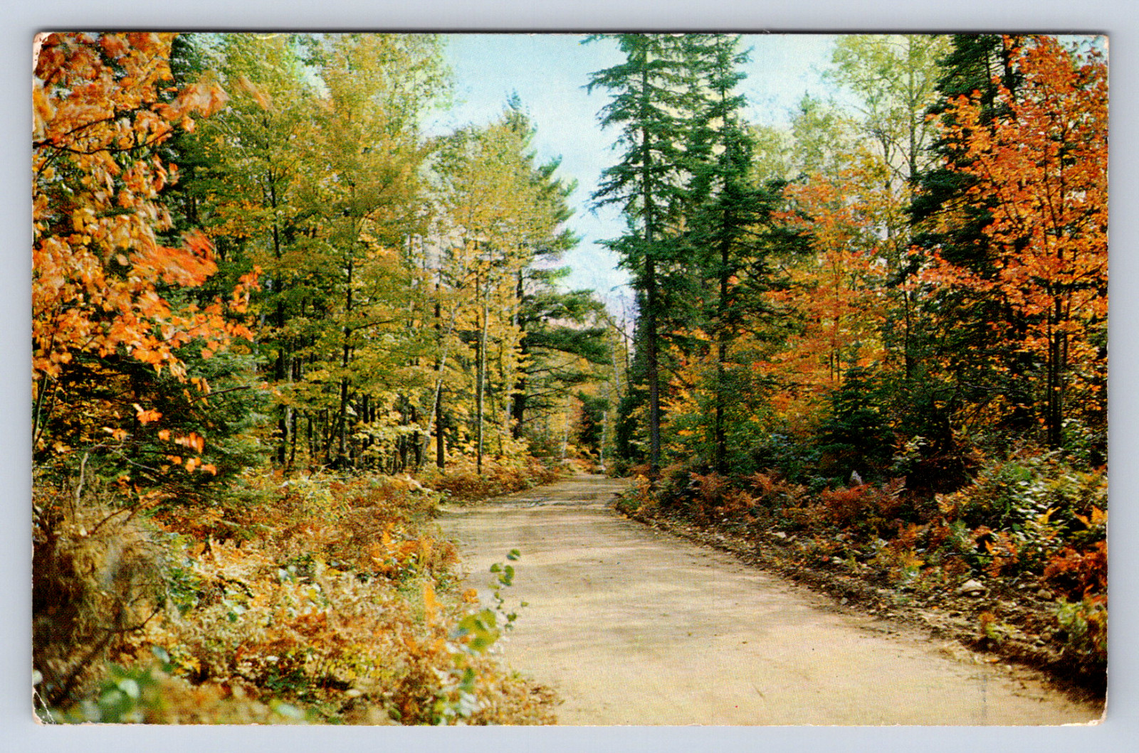 Vintage Postcard Bracebridge Ontario Canada