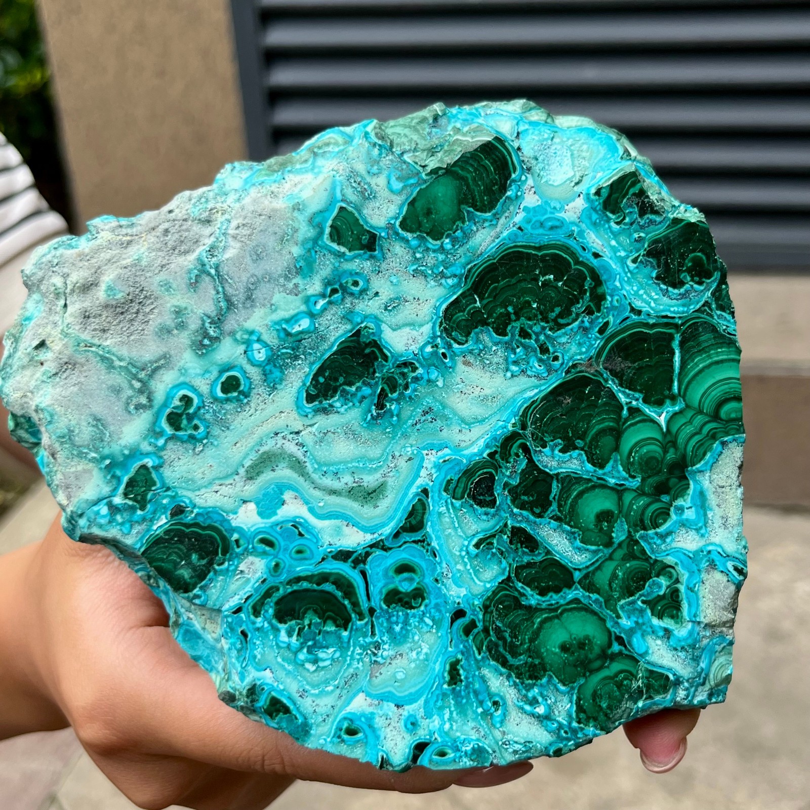 Natural Blue Green Chrysocolla Slice Polished Crystal Healing Stone  554 g