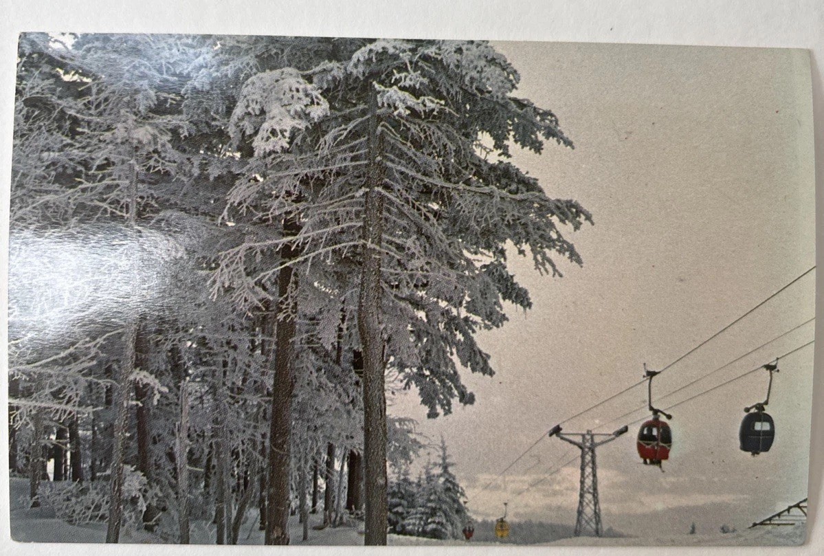 MT. Snow Vermont Vintage Gondolas Postcard