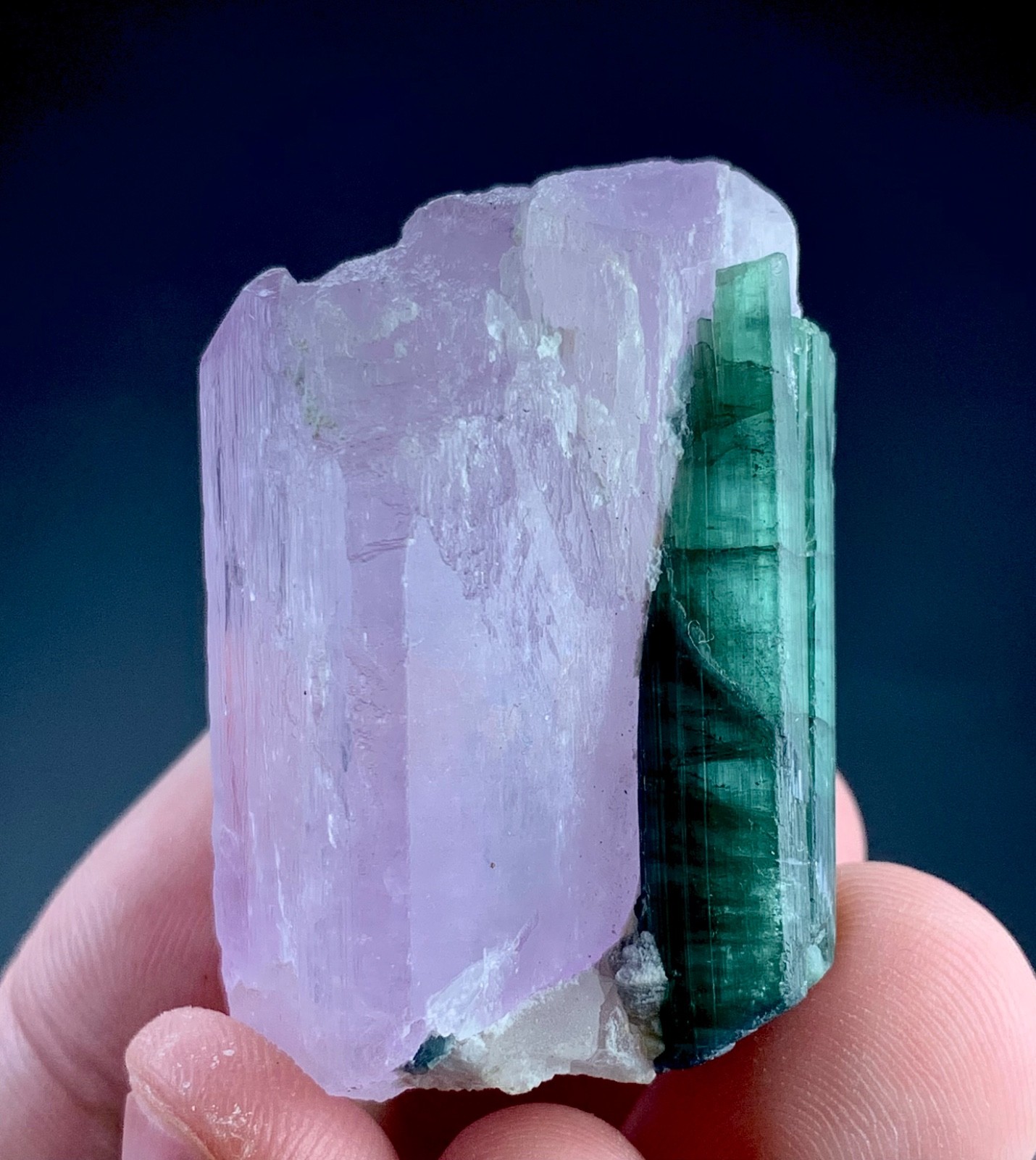 191 Carat Hiddenite Kunzite Crystal Combine with Tourmaline From Afghanistan