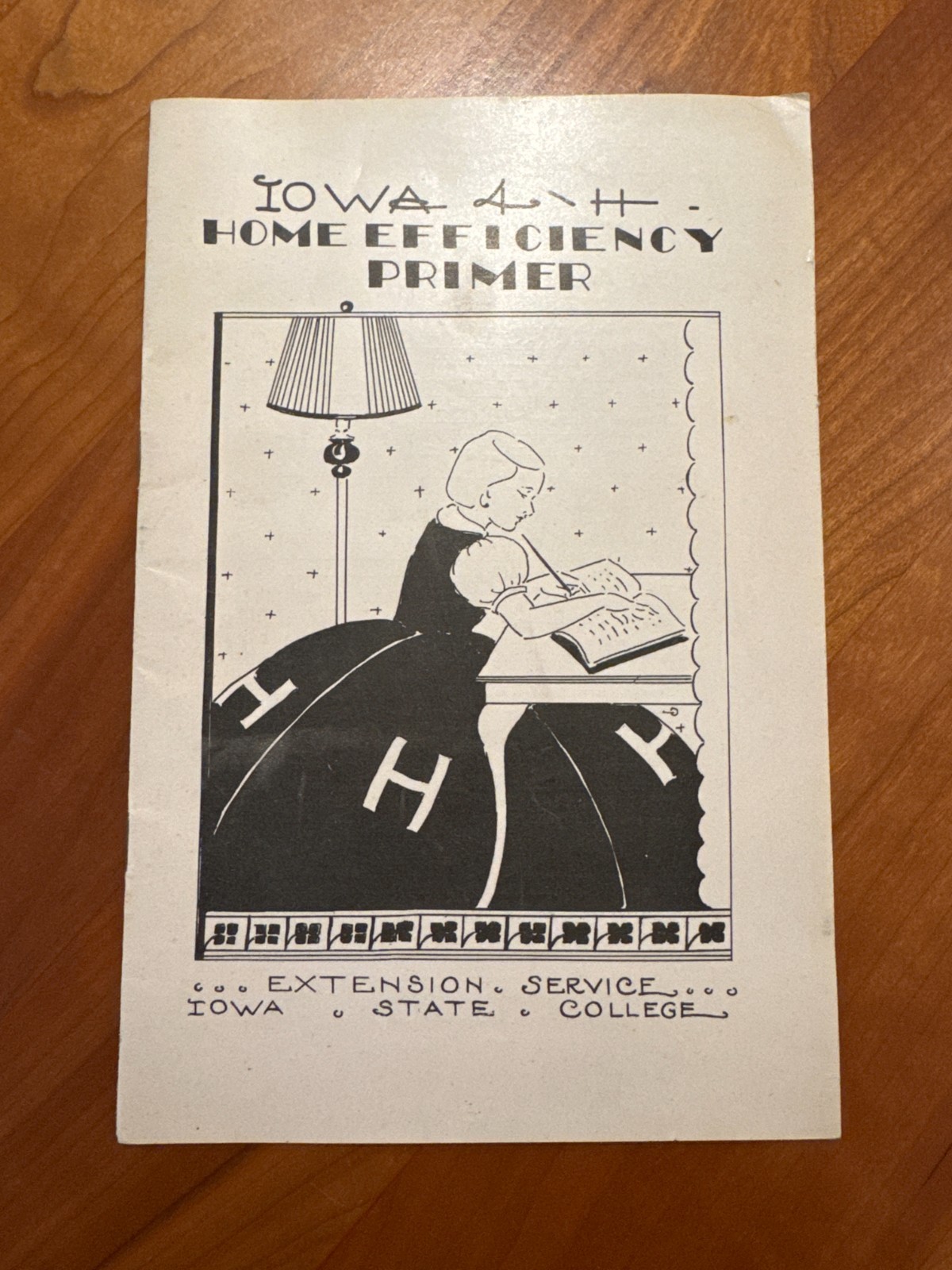 FREE SHIP 1920s Iowa 4-H Home Efficiency Primer Extension Service Iowa State
