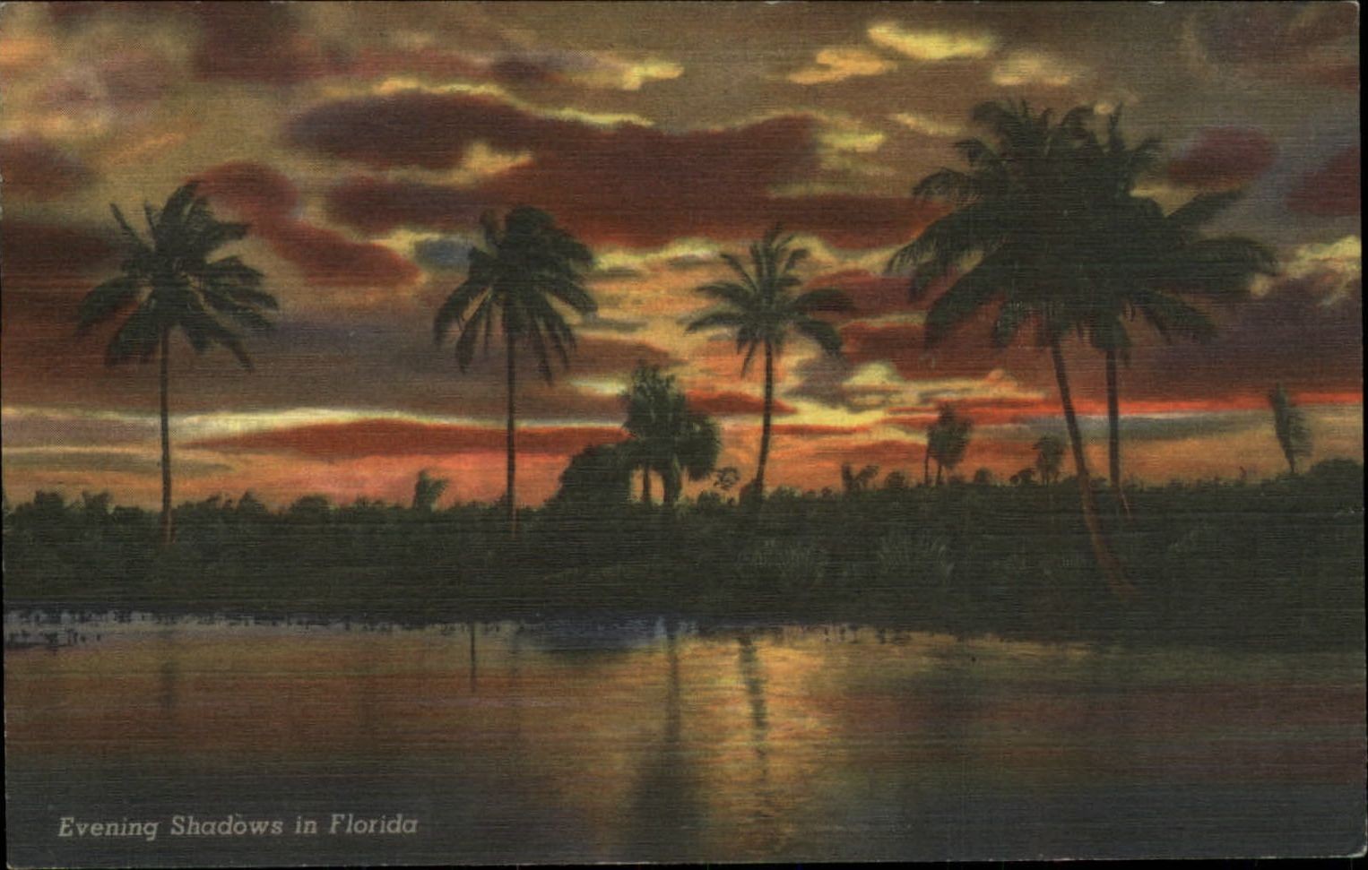 Florida sunset city trailer park 1949 Leesburg FL to C Harlow Perrinton MI PC