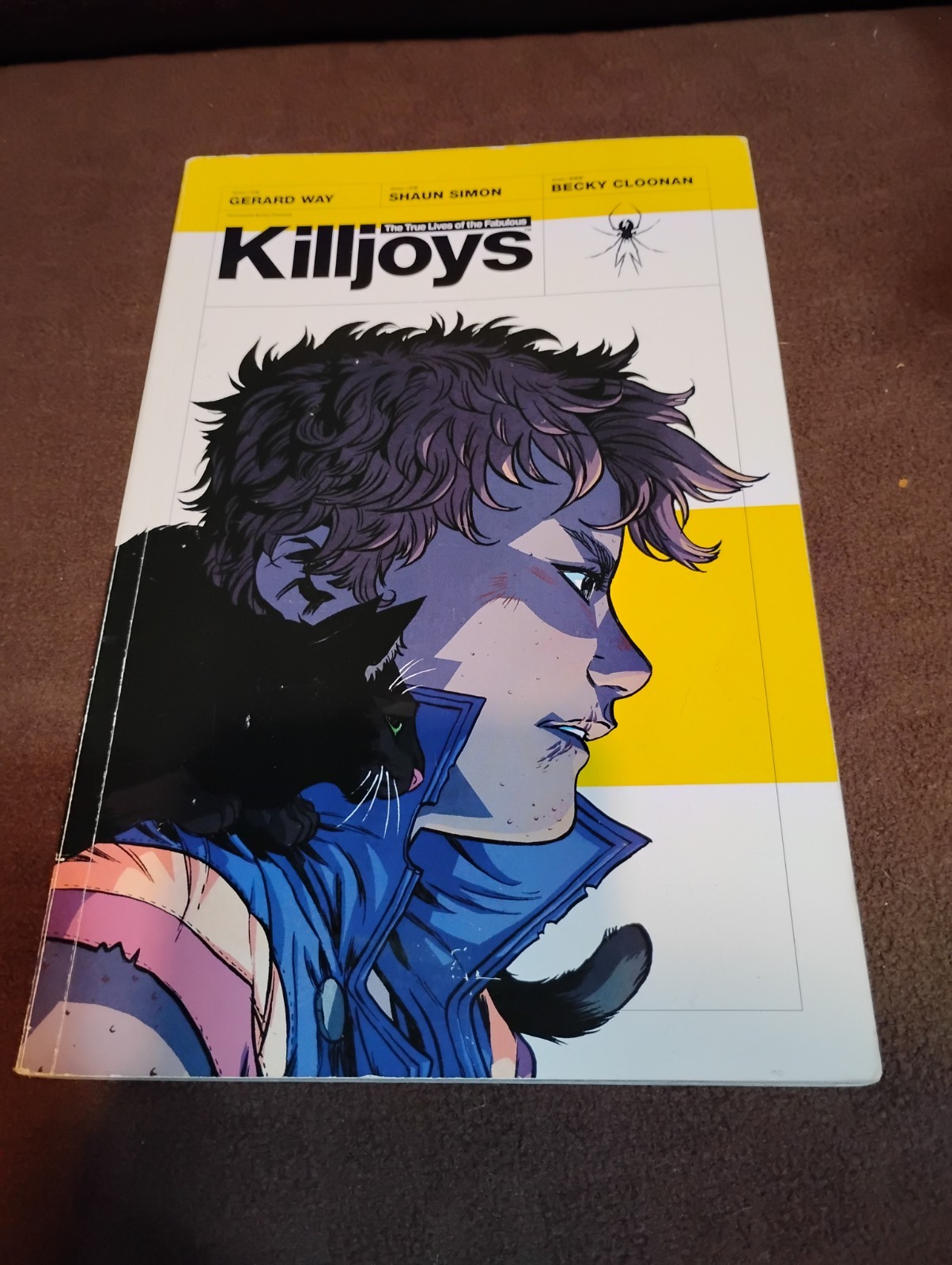 The True Lives of the Fabulous Killjoys  1st EDITION May 2014