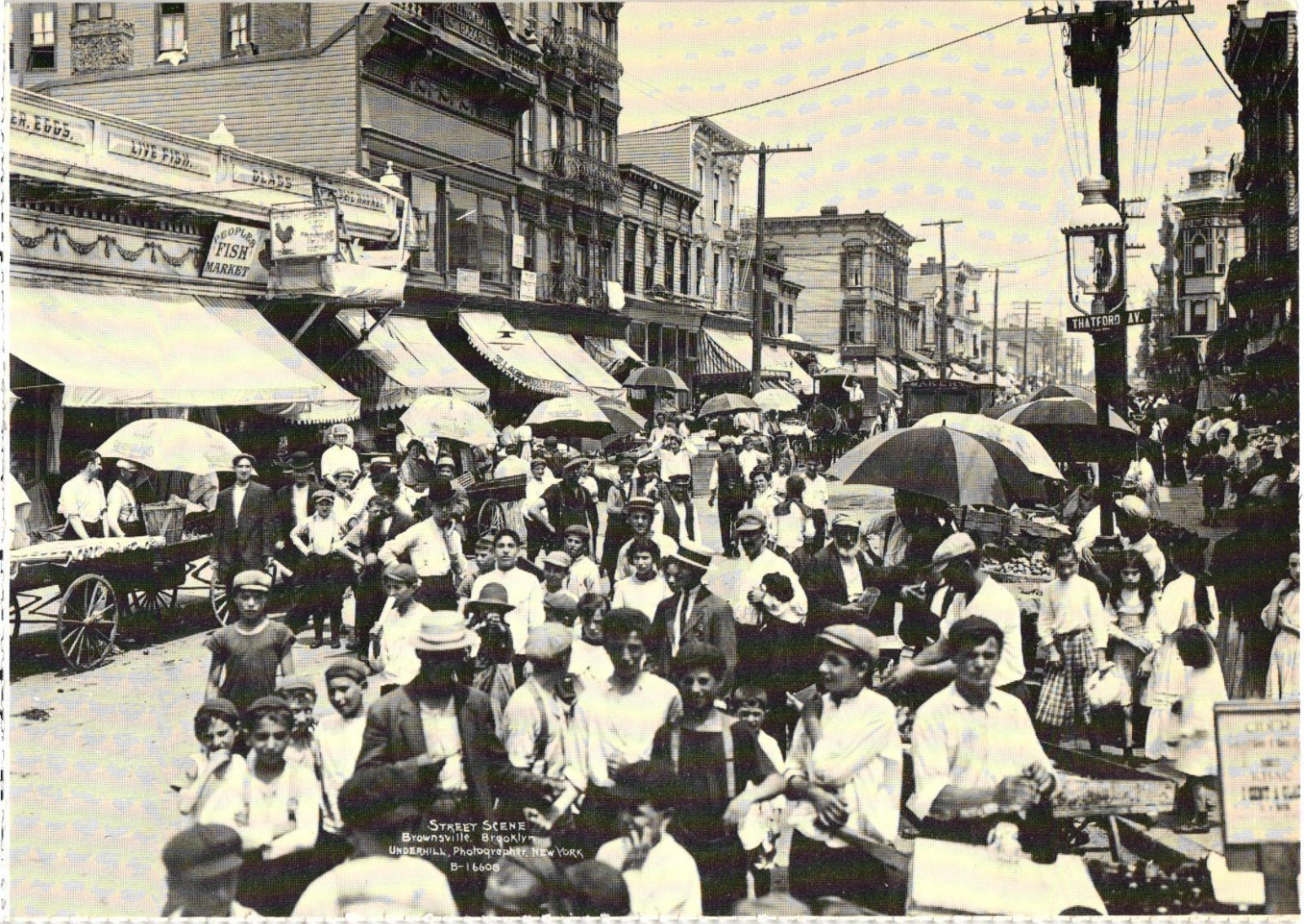 Belmont Avenue Market Brownsville 1910 Brooklyn New York