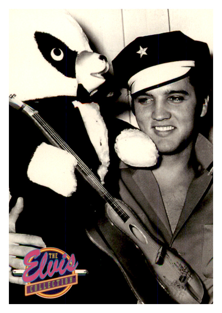 1992 1993 THE ELVIS Collection Card Elvis Presley #630 Koala Teddy Bear 1992 1993 THE ELVIS Collection Card Elvis Presley #630 Koala Teddy Bear