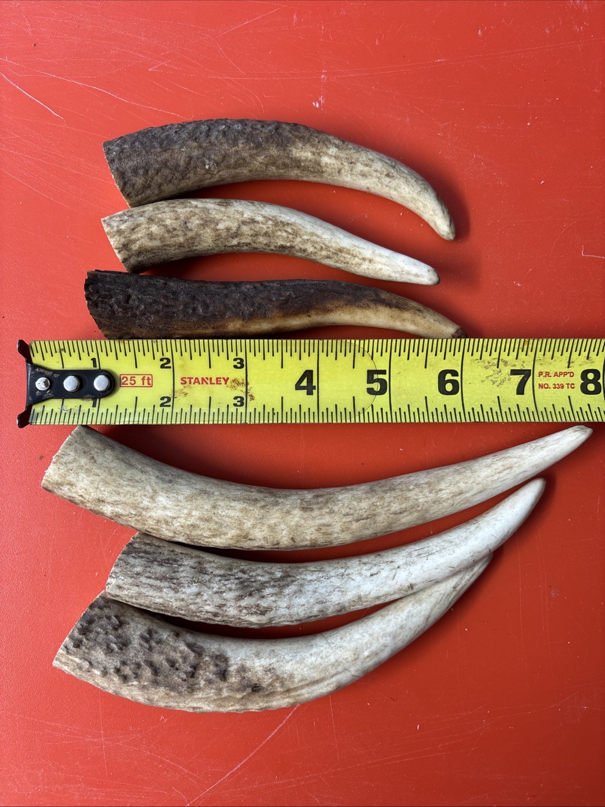 Lot-E128 Elk Antler Tips for Knife Material Handle Material