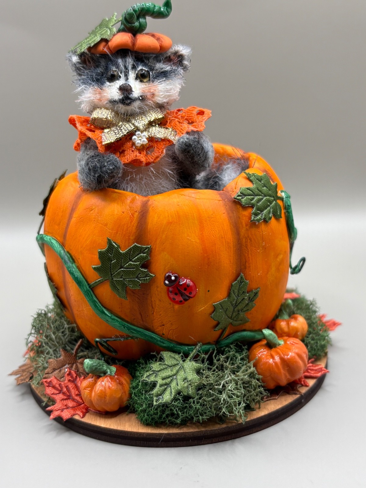 Miniature Gray Raccoon 2