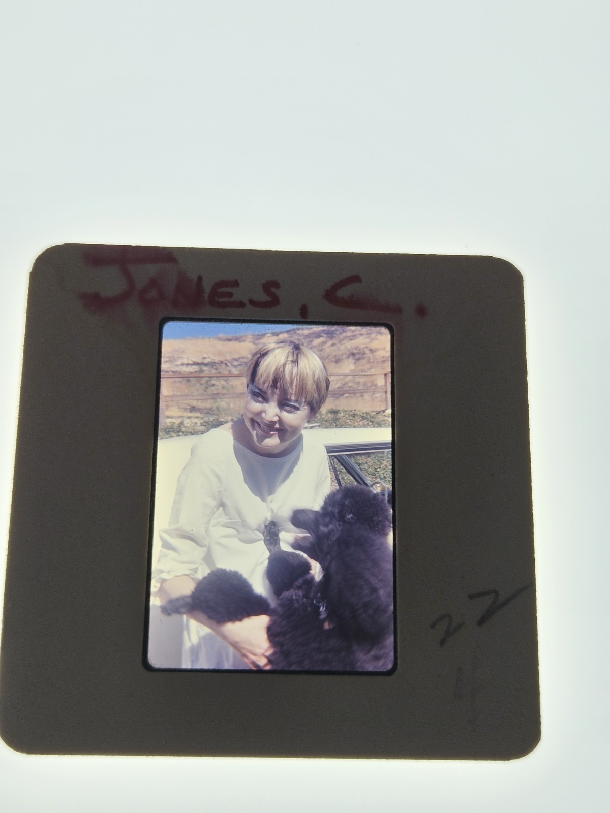 CAROLYN JONES ACTRESS PHOTO 35MM FILM SLIDE
