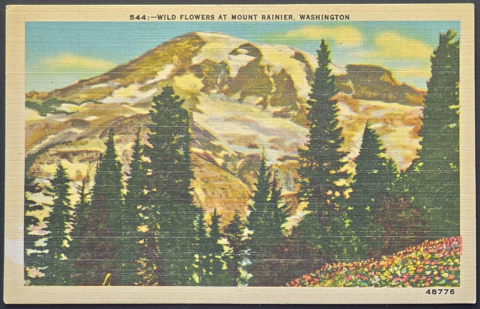 Wild Flowers at Mount Rainier Washington Linen Postcard C.P. Johnston Co 1940s
