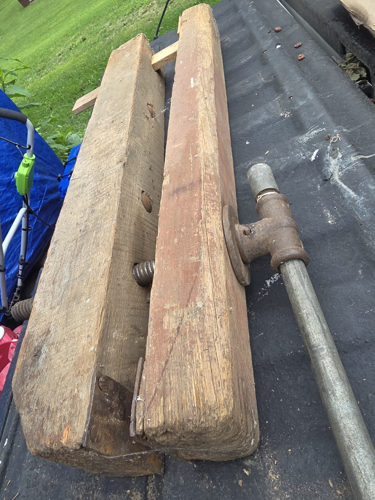 Large Primative Vice