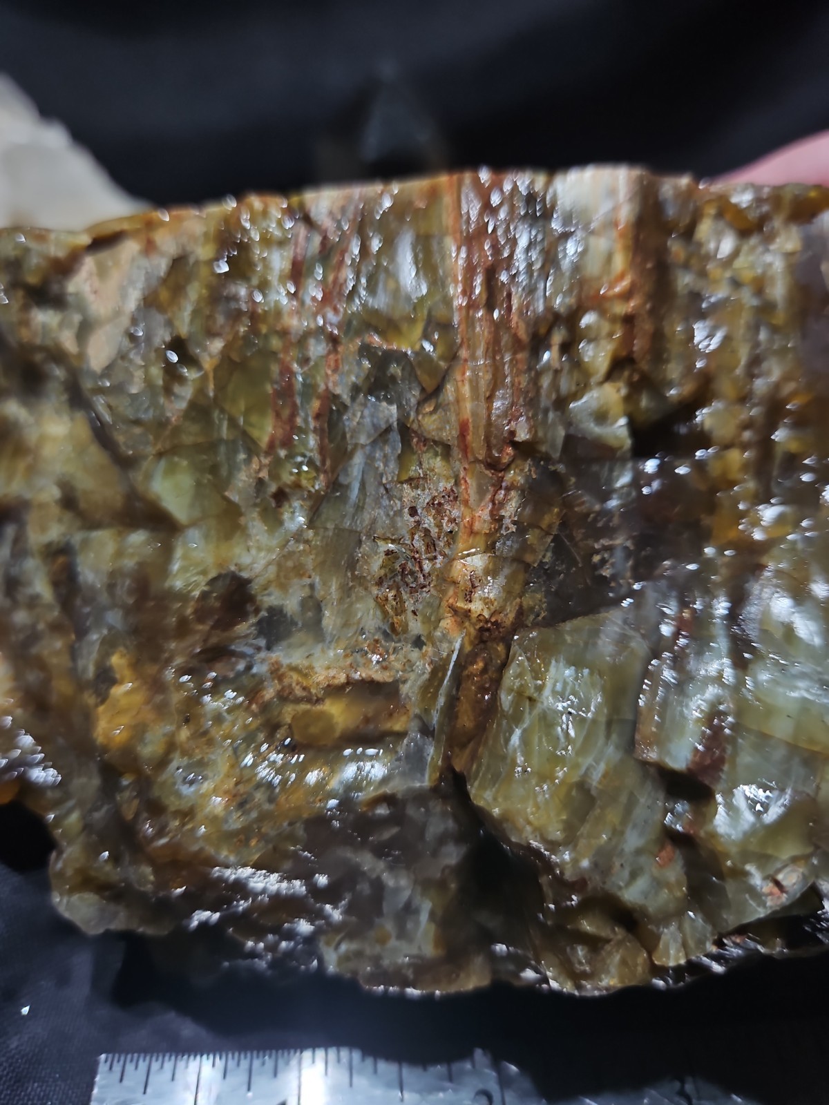 Petrified Opalized Wood Polished Specimen (4lbs 14oz) 