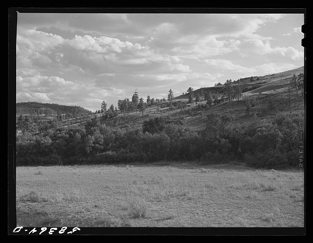 Photo:Birney Lame Deer Montana 1941 Grazing Land Prairie Hills