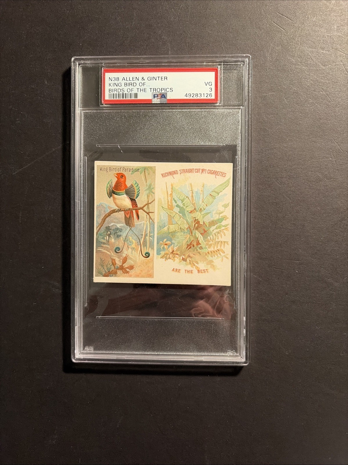 1889 N38 Birds Tropics King Bird Of Paradise 1889 N38 Birds Tropics King Bird Of Paradise