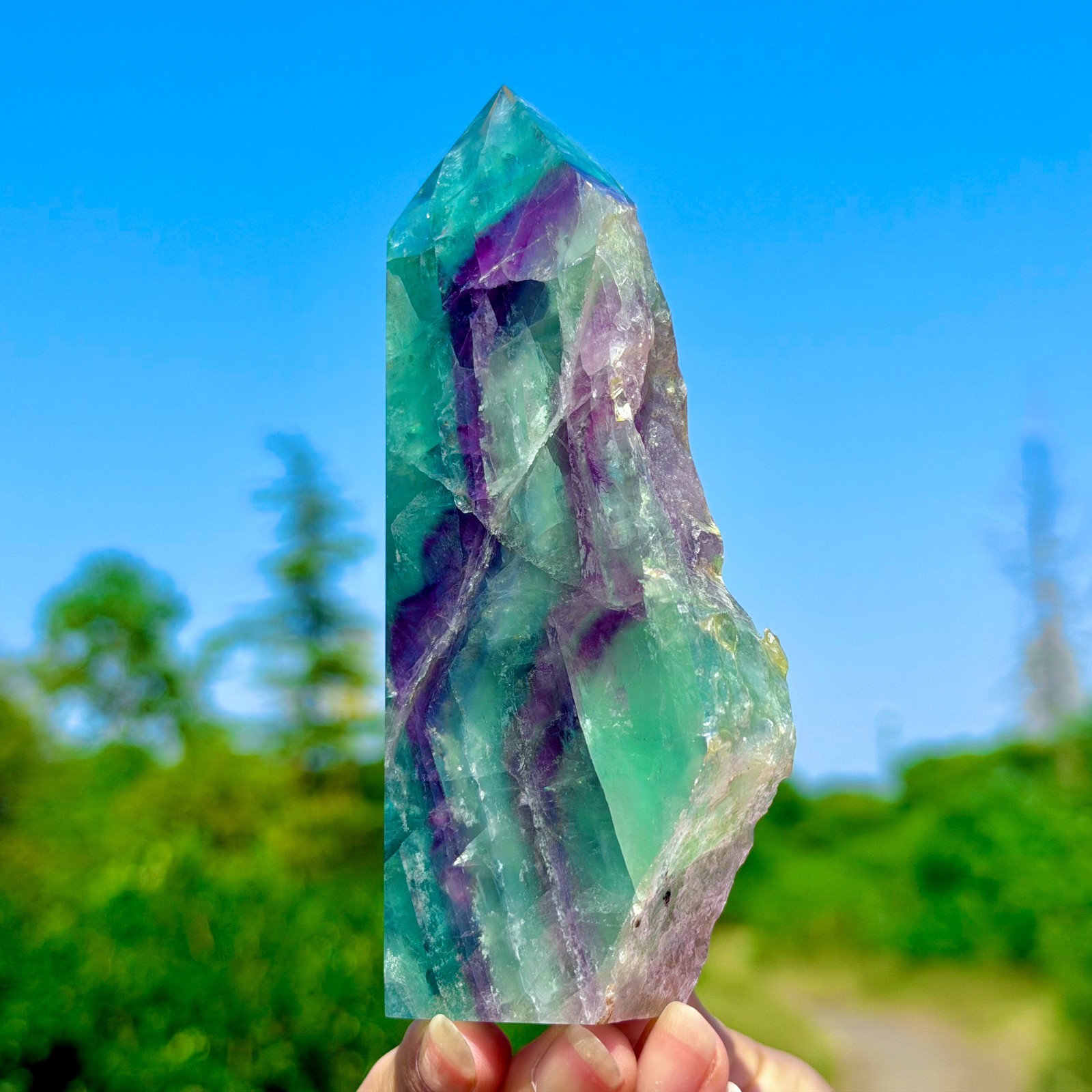 395G Rare Natural Fluorite Quartz Crystal Freeform Mineral Specimen Healing