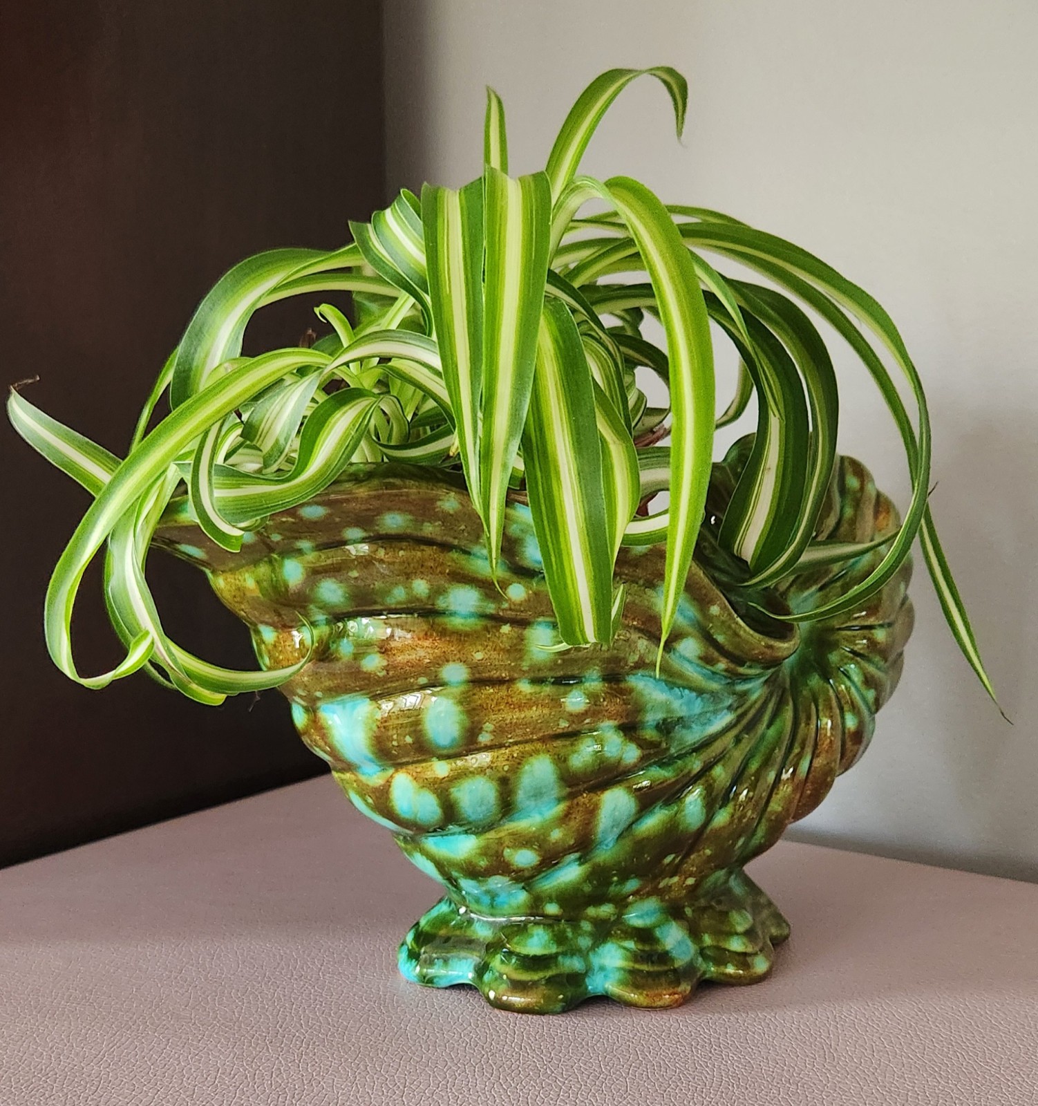 Vintage Mid-Century Ceramic Planter Nautilus Shell Rare