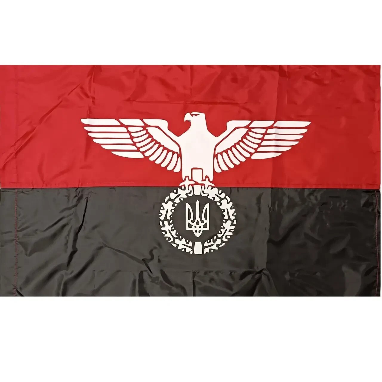 Flag eagle with trident  Ukraine