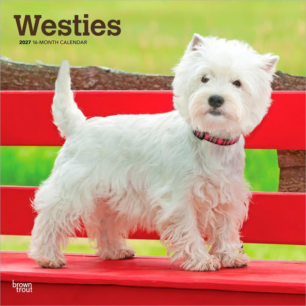 BrownTrout,  West Highland White Terriers 2027 Wall Calendar