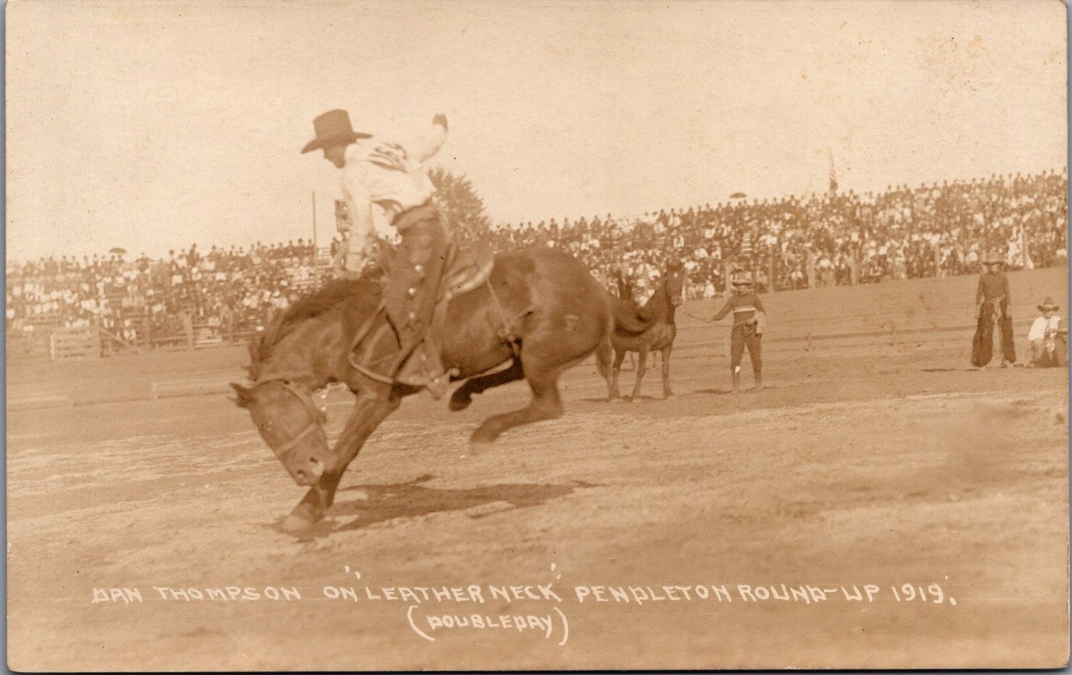 1919 Pendleton Round-Up RPPC Dan Thompson on Leather Neck Rodeo Cowboy 1919 Pendleton Round-Up RPPC Dan Thompson on Leather Neck Rodeo Cowboy