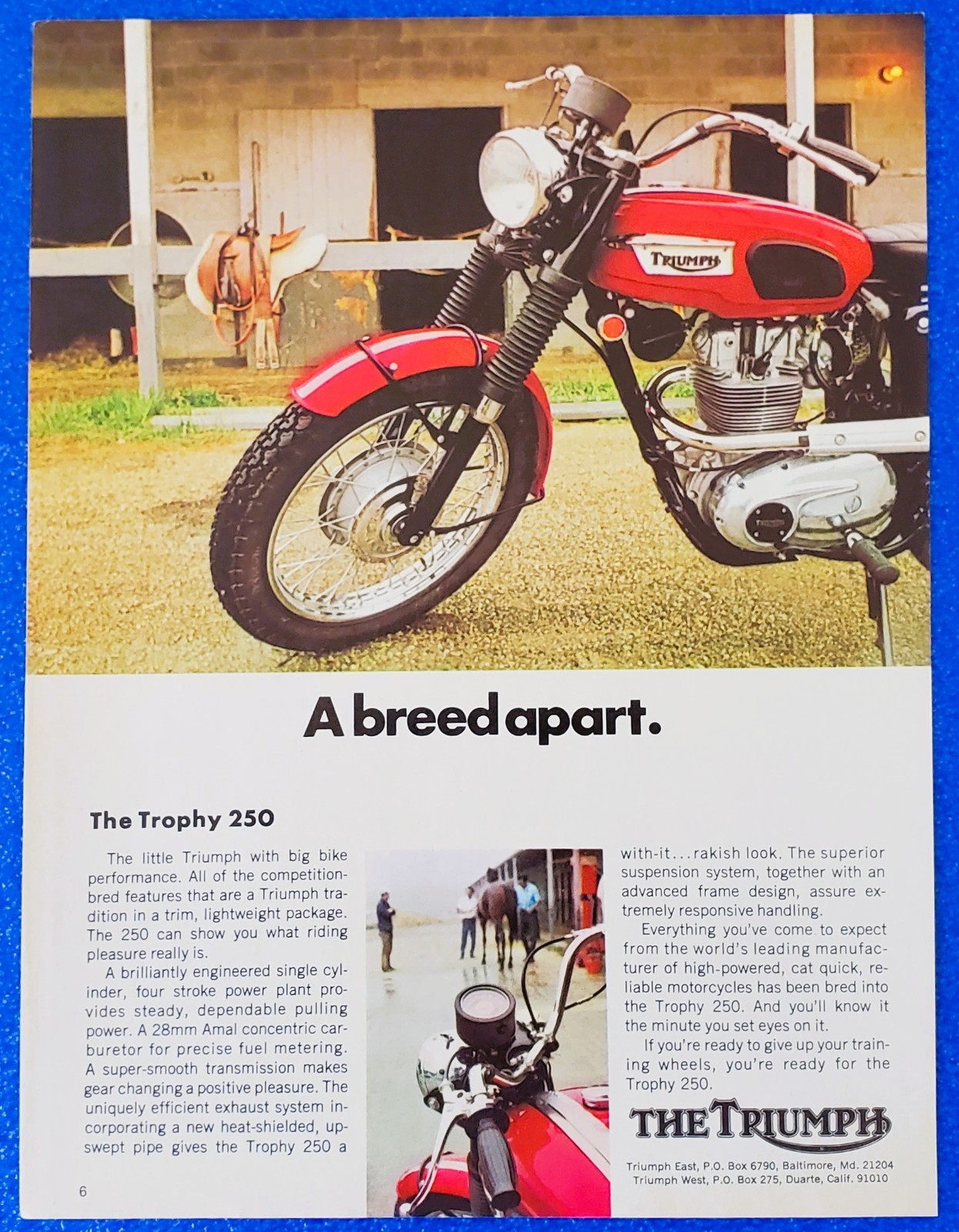Vintage 1970 Triumph TR25W Trophy 250 Ad British Single Biker Wall Art Decor
