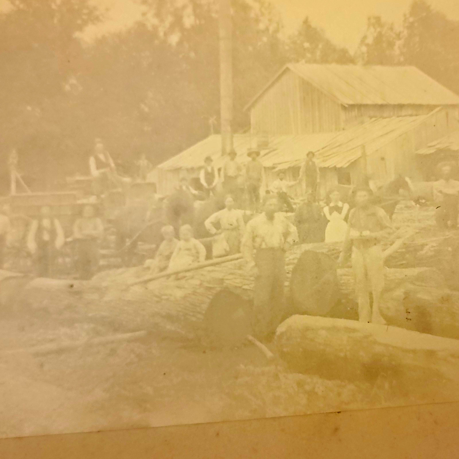 Vintage 1890s Logging Camp Sawmill Photo Timber Industry Loggers Crew Mounted