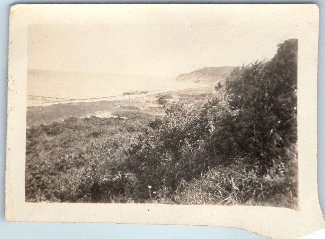 c1920s East Hampton, NY Coast Bluff Dunes Beach Snapshot Photo Long Island Ocean c1920s East Hampton, NY Coast Bluff Dunes Beach Snapshot Photo Long Island Ocean