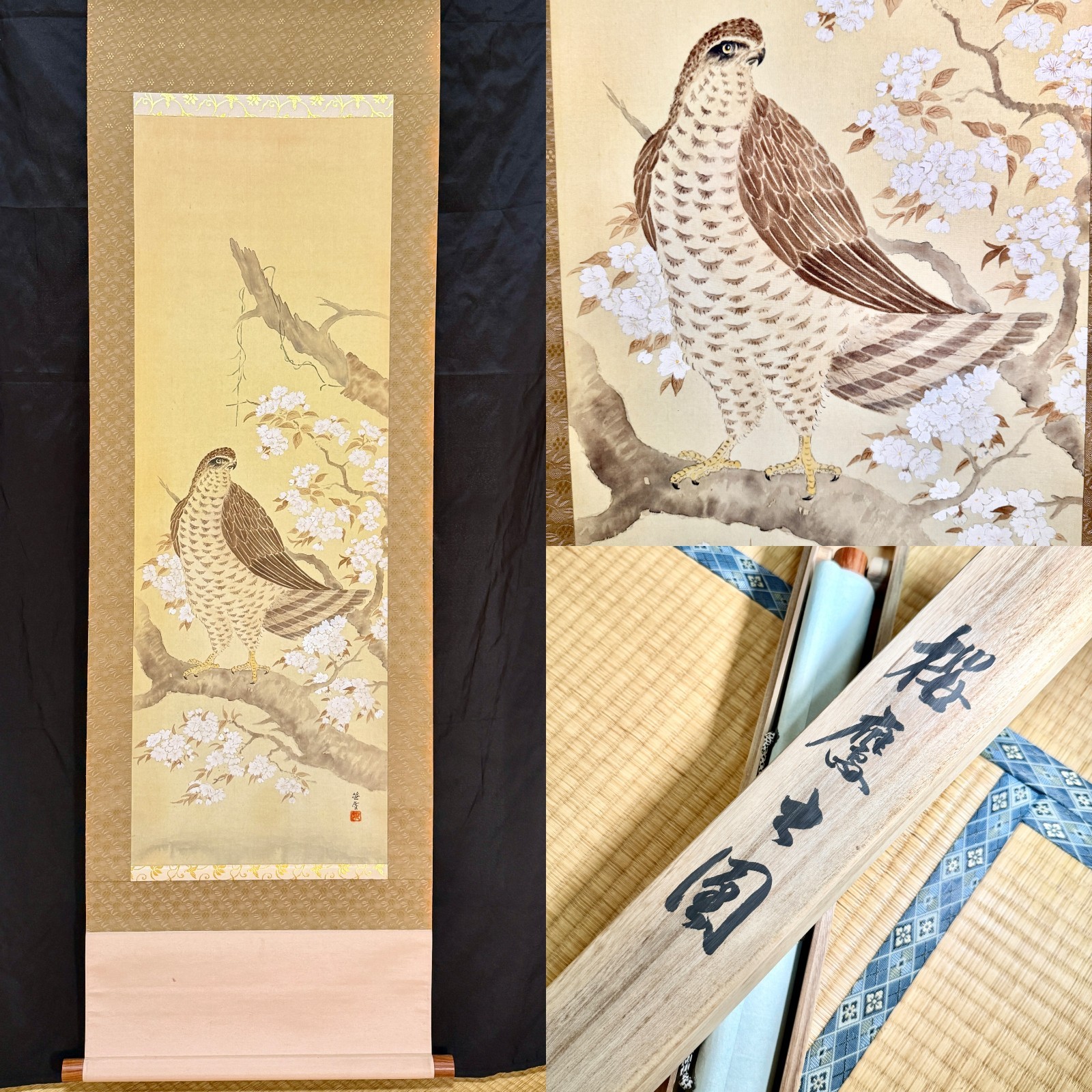 Japanese Hanging Scroll 笹雲 Falcon Hawk Cherry Blossom Hand Painted Silk Kakejiku