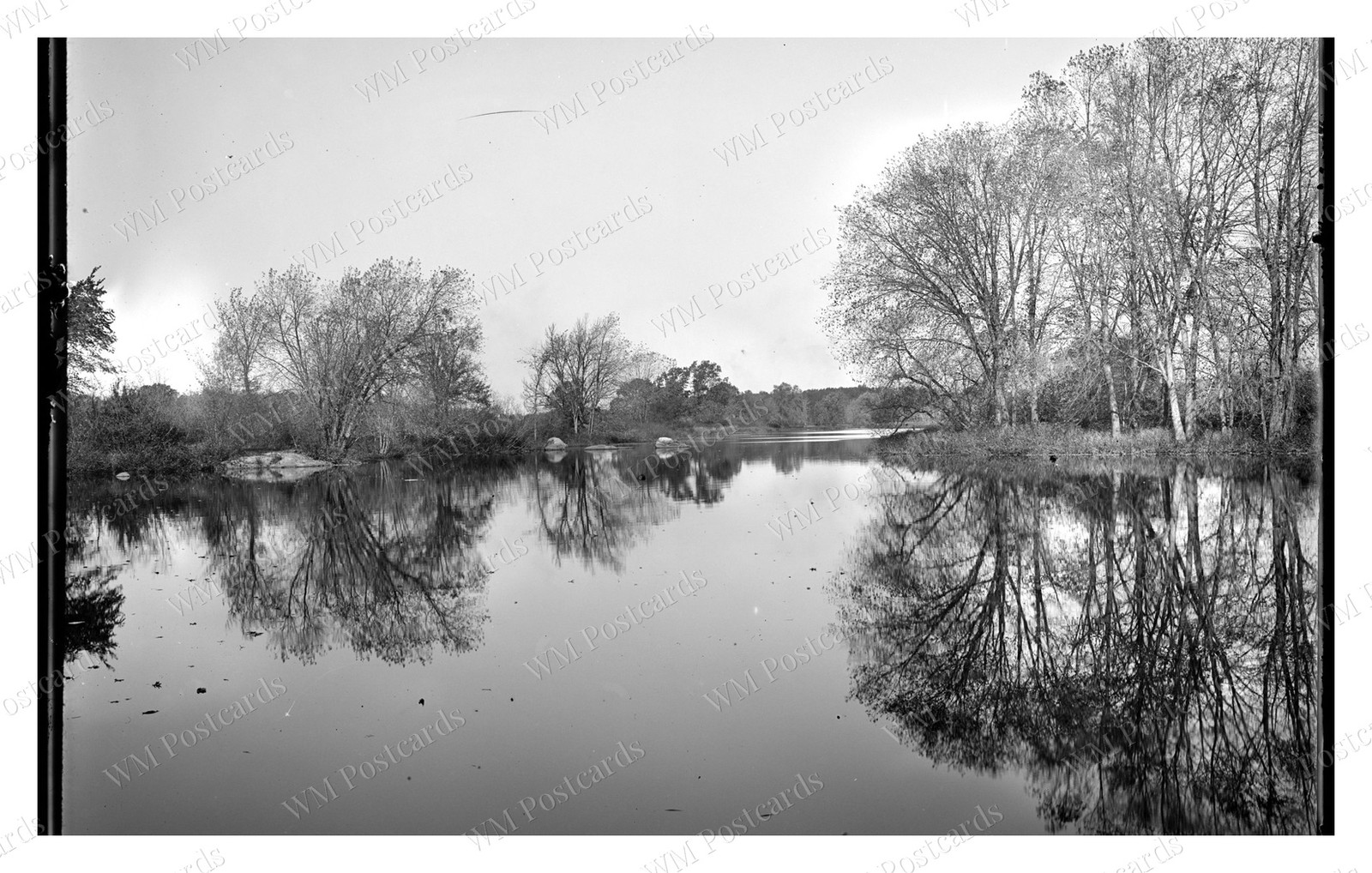 Billerica Massachusetts 1903 Lower River Trees Boats Standard Postcard