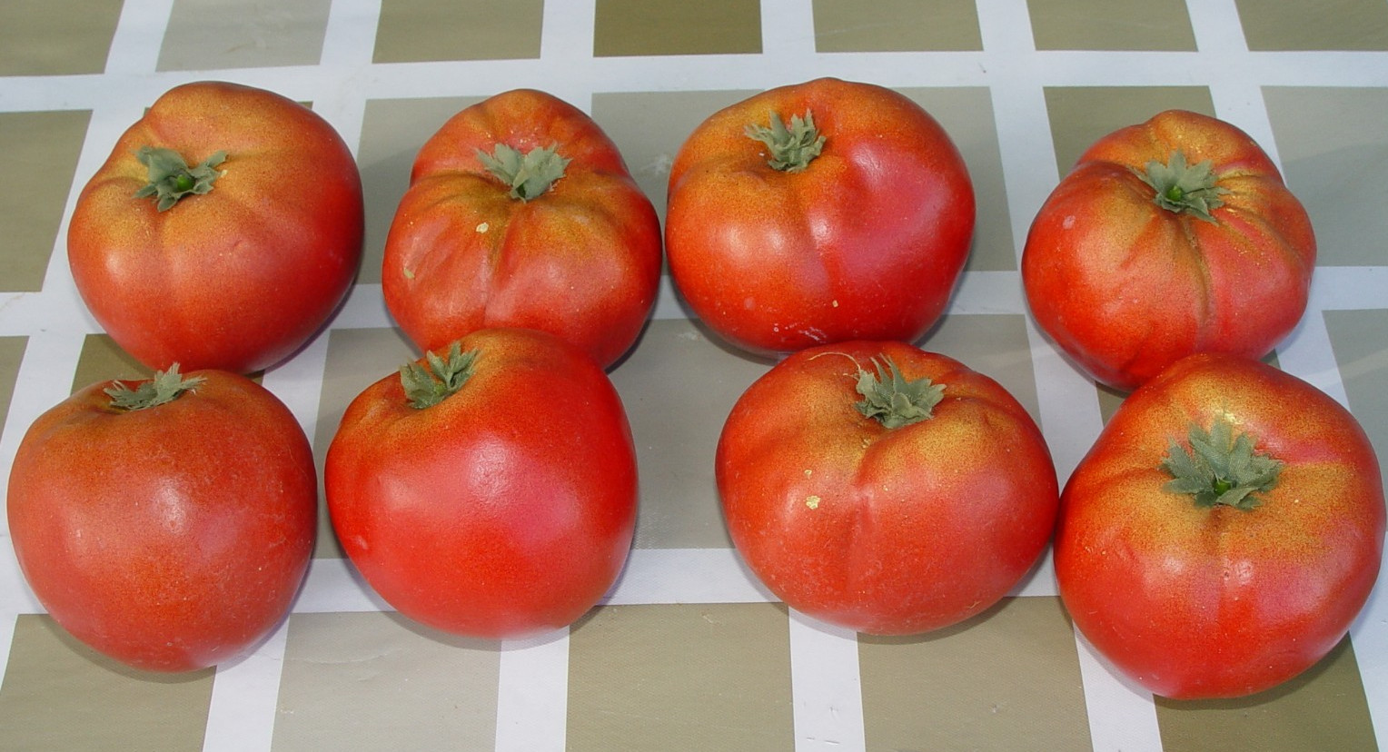 RARE VTG 8 Handcrafted Tomato Wooden Primitive Country Realistic Set Prop Decor