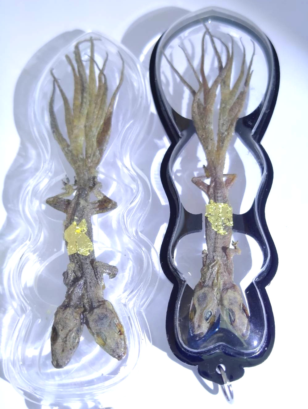 2pcs 2Head 9Tail Lizard Thai Amulet Lucky Wealth Gambling Money Charm Powerful