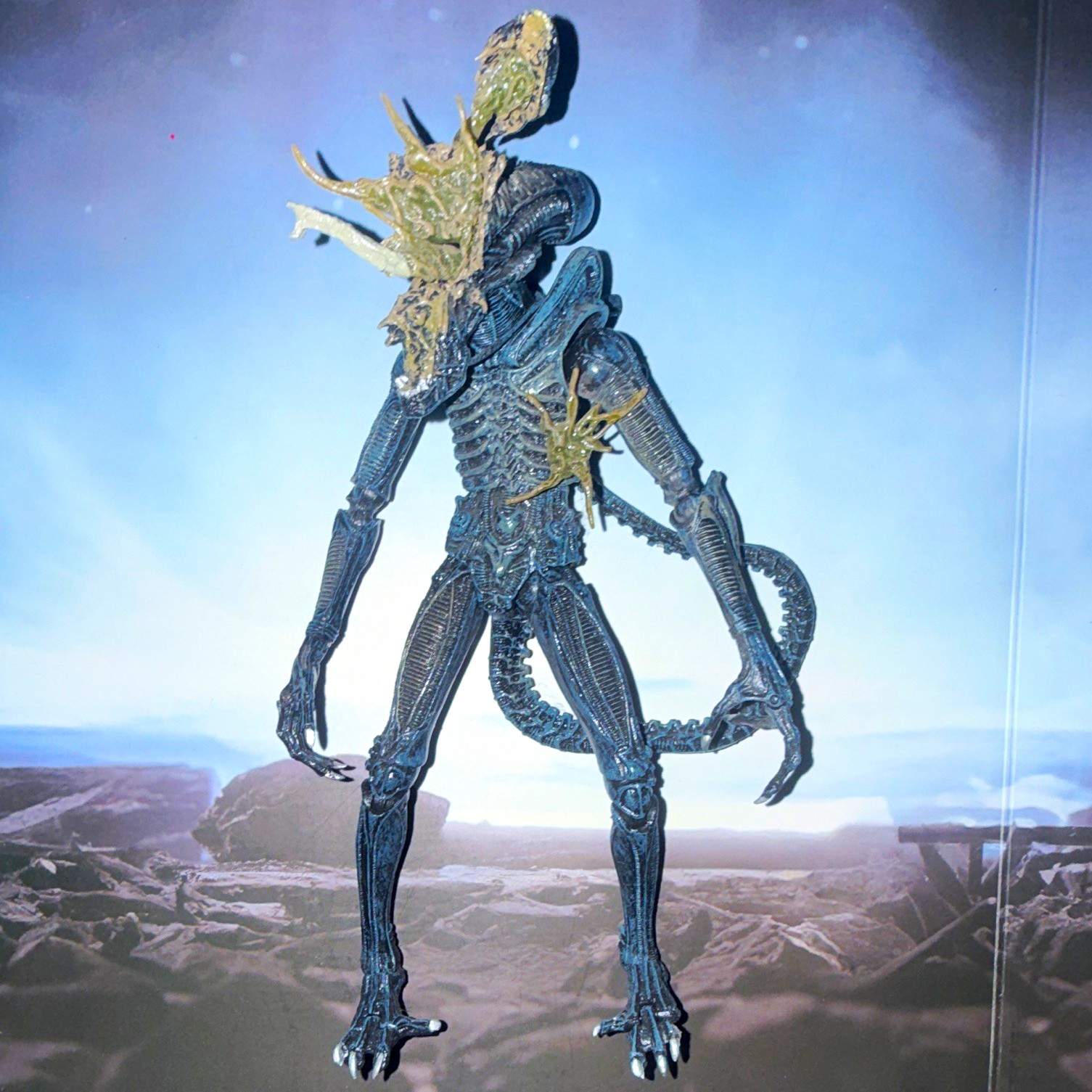 NECA Aliens Xenomorph Battle Damage Alien Warrior AVP Predator loose no box NECA Aliens Xenomorph Battle Damage Alien Warrior AVP Predator loose no box
