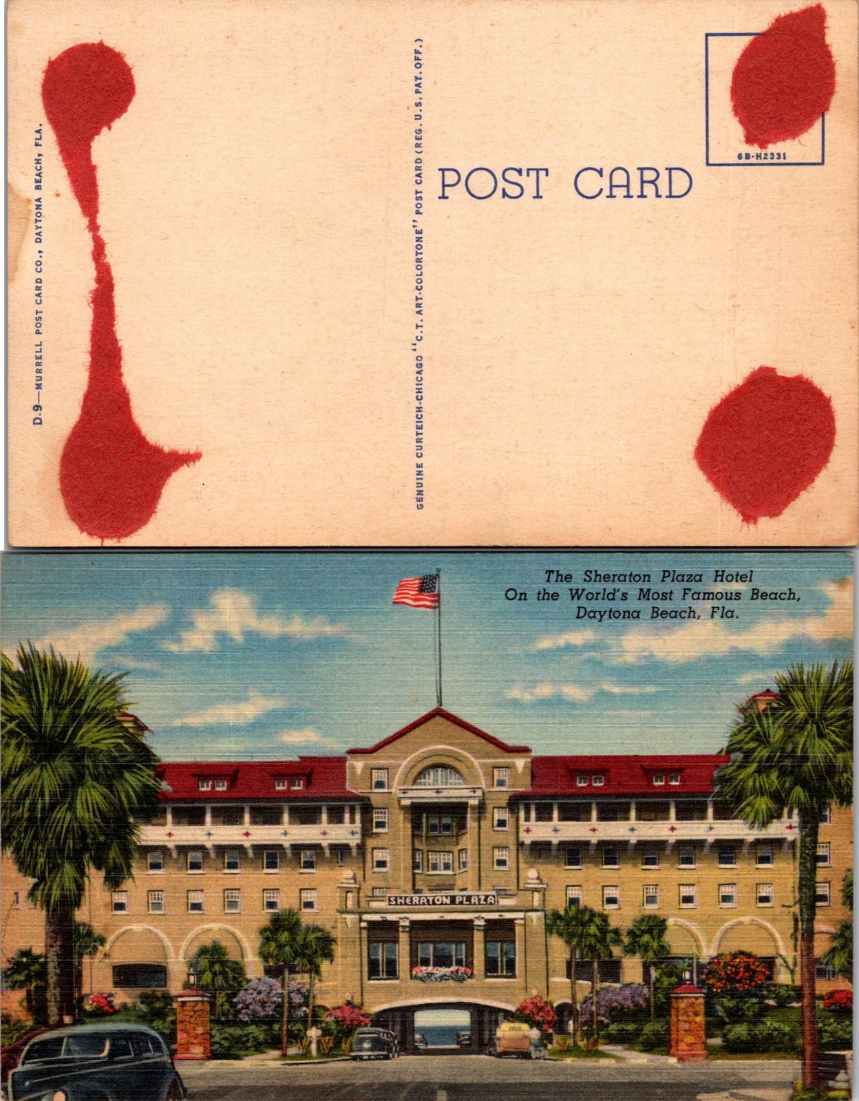 Vintage Florida The Sheraton Plaza Hotel Postcard Unused 50579