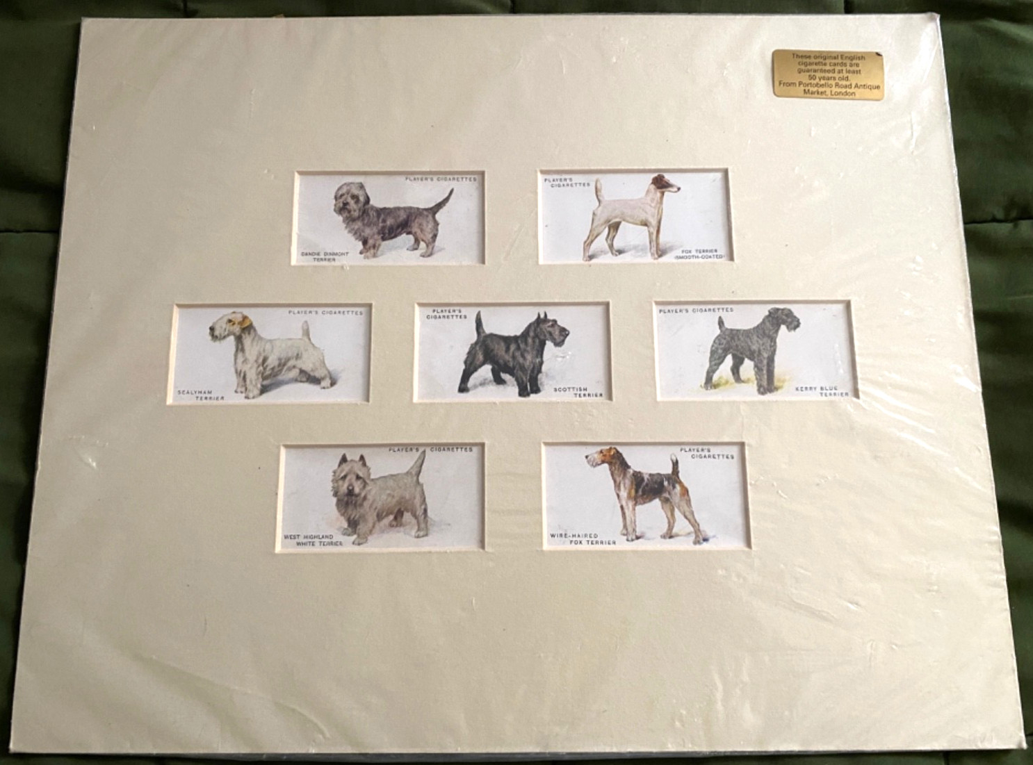 1931 PLAYER\'S CIGARETTES DOG SERIES lot of seven cigarette cards BRITISH TOBACCO