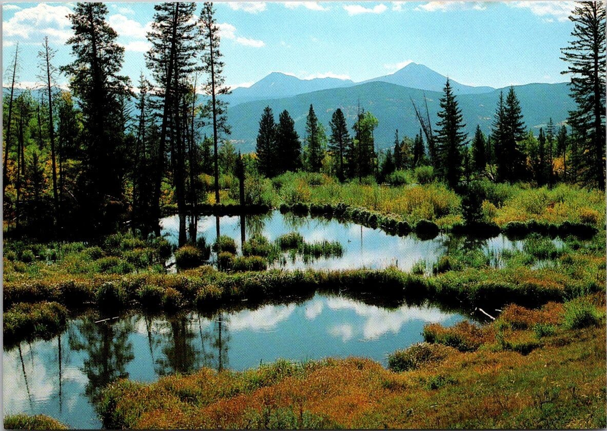 Beaver Ponds Summit County Colorado Mount Baldy c1980 Postcard