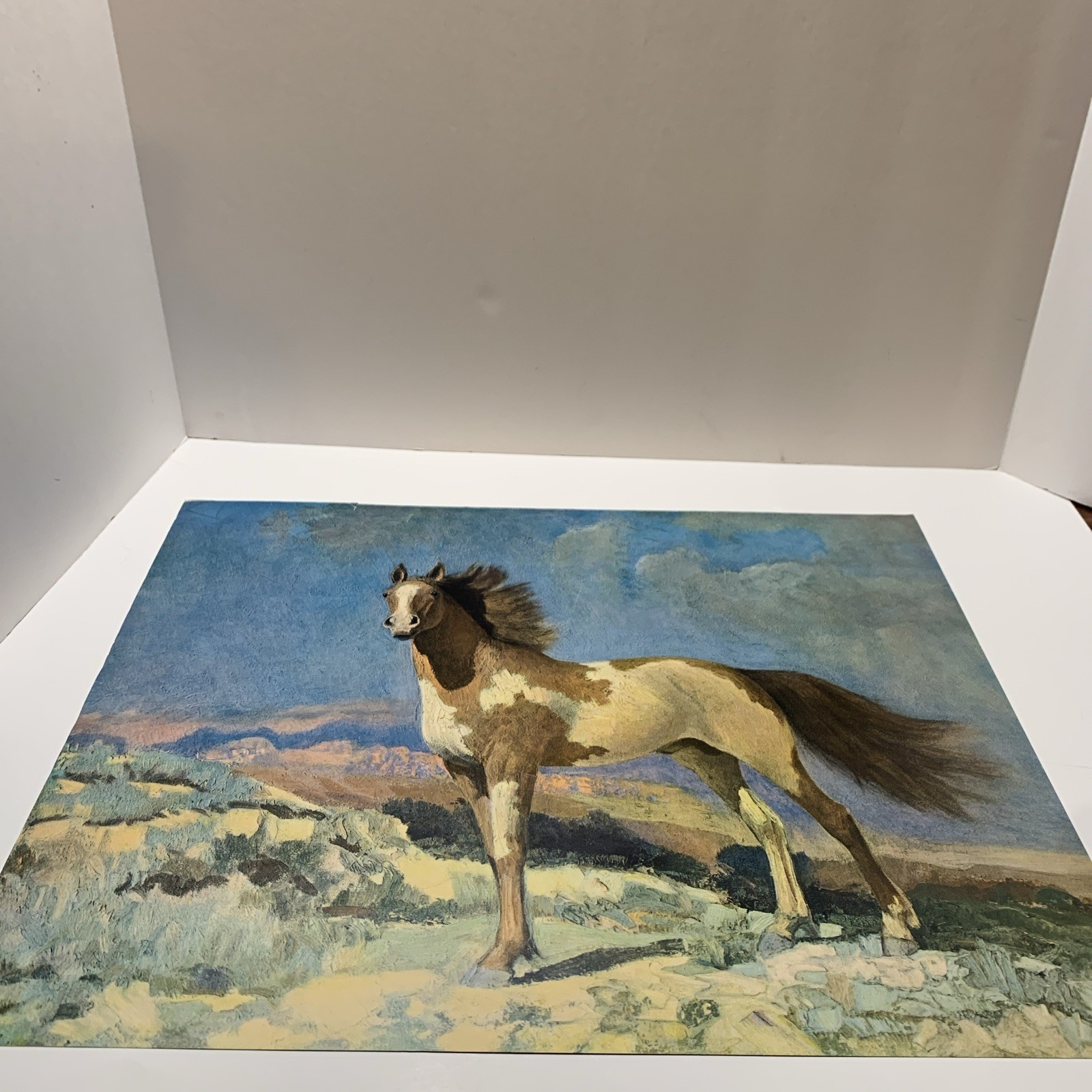 Vtg Robert Amick Freedom Stallion Horse Litho Print Western Landscape 20x16 in Vtg Robert Amick Freedom Stallion Horse Litho Print Western Landscape 20x16 in