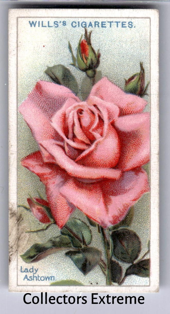 1926 Wills\'s Roses Tobacco Card #23 Lady Ashtown