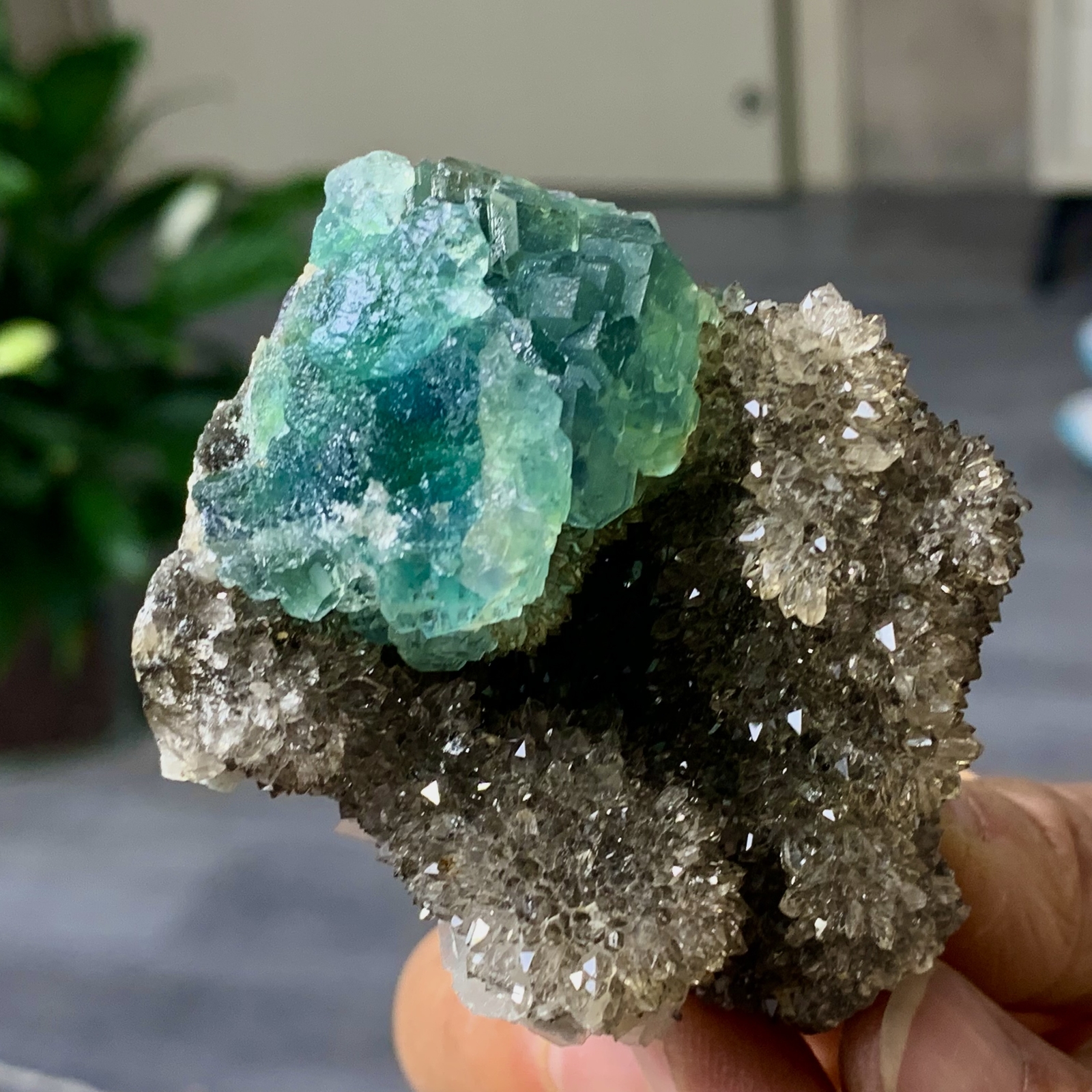 148G Rare Transparent blue-green Cube Fluorite Mineral Crystal Specimen/China