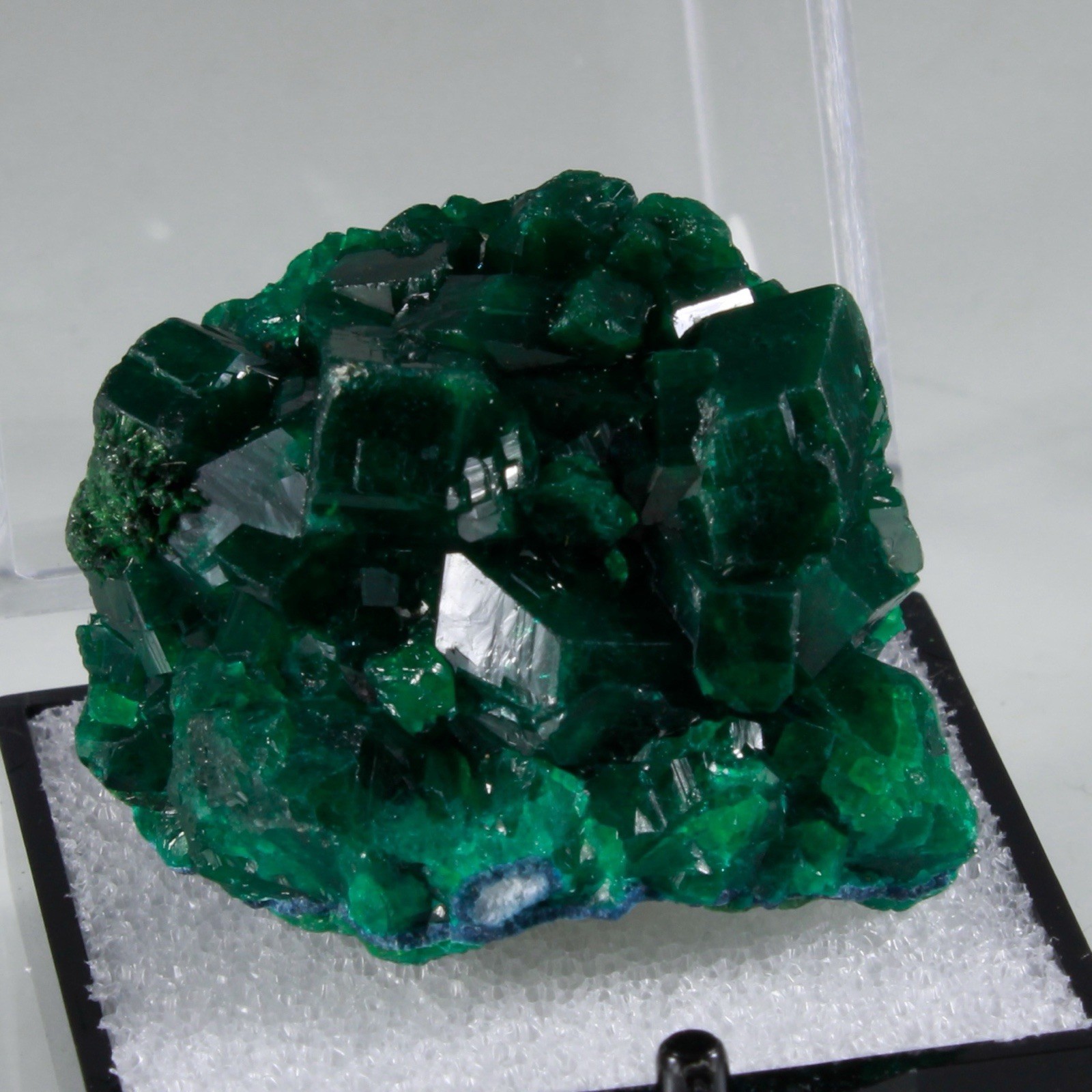 Fantastic DIOPTASE w/ MALACHITE & SHATTUCKITE - Democratic Republic of Congo
