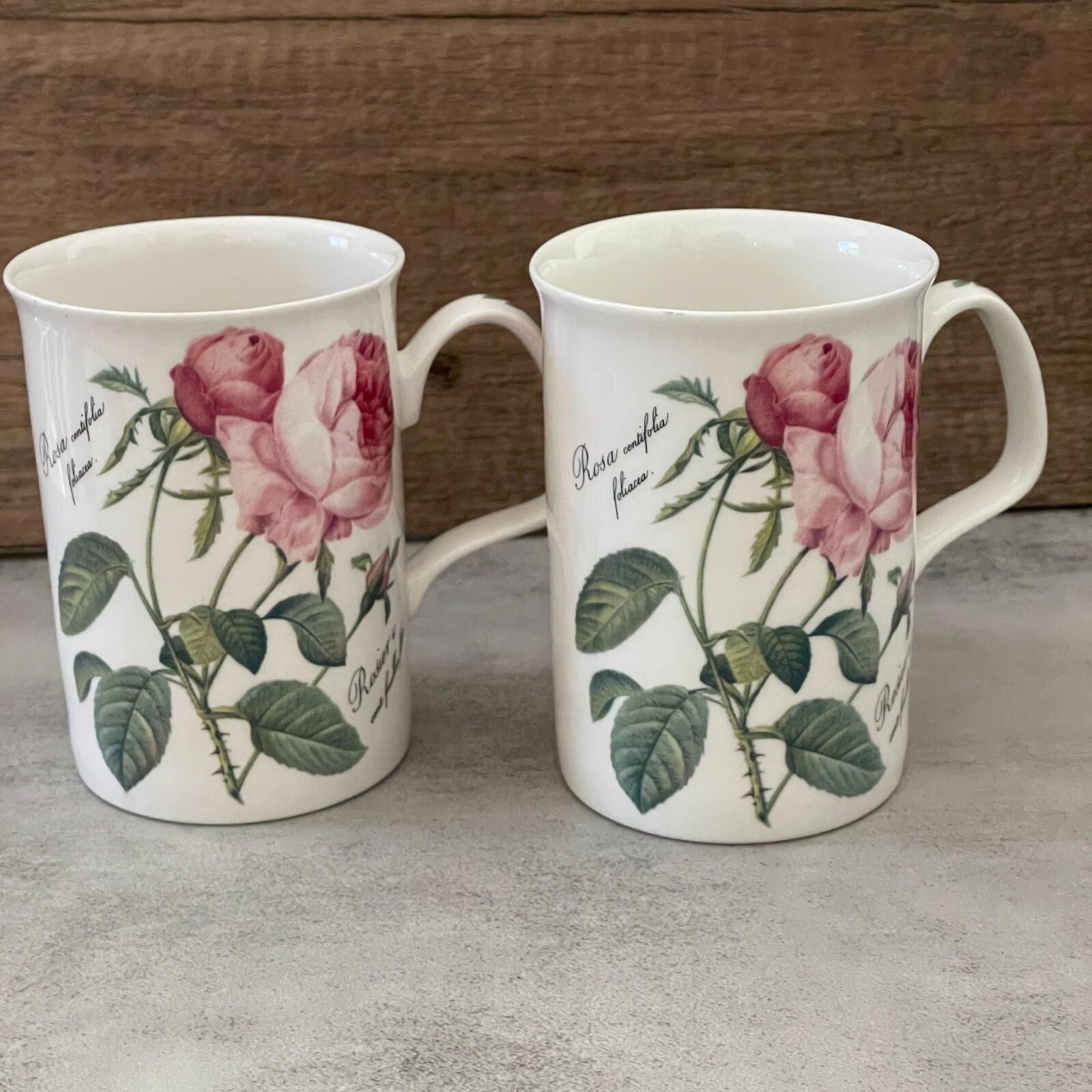 Vintage Roy Kirkham Two (2) Redoute Roses Rosa Centifolia Bone China Mugs 1996