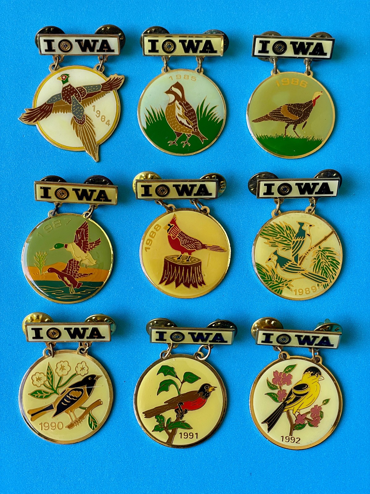 Complete Set of 9 Vintage Iowa Lions Club Convention Trading Pins 1984 - 1992