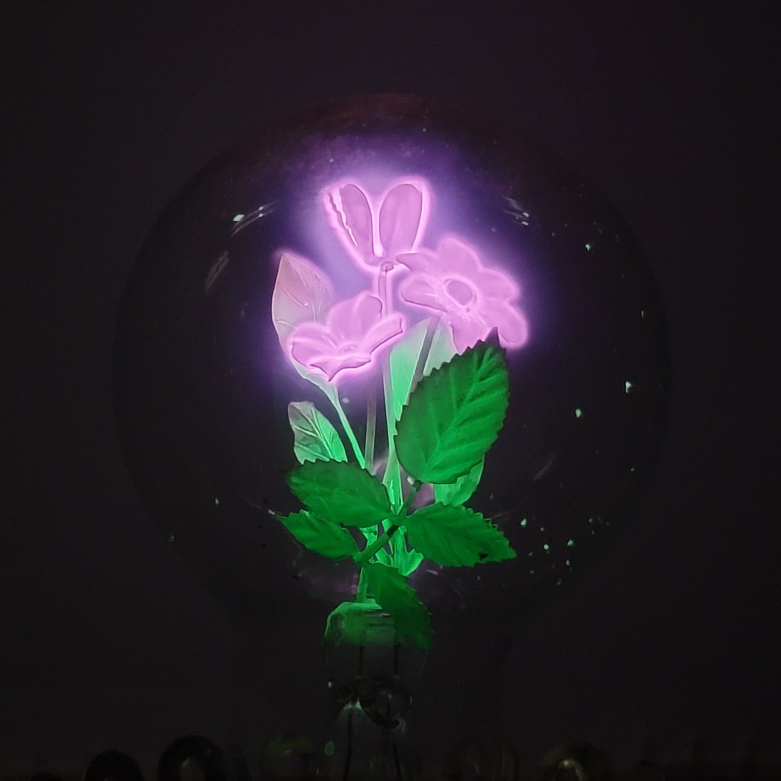 Vintage Aerolux New York Decorative Purple Amd Green Floral Light Bulb
