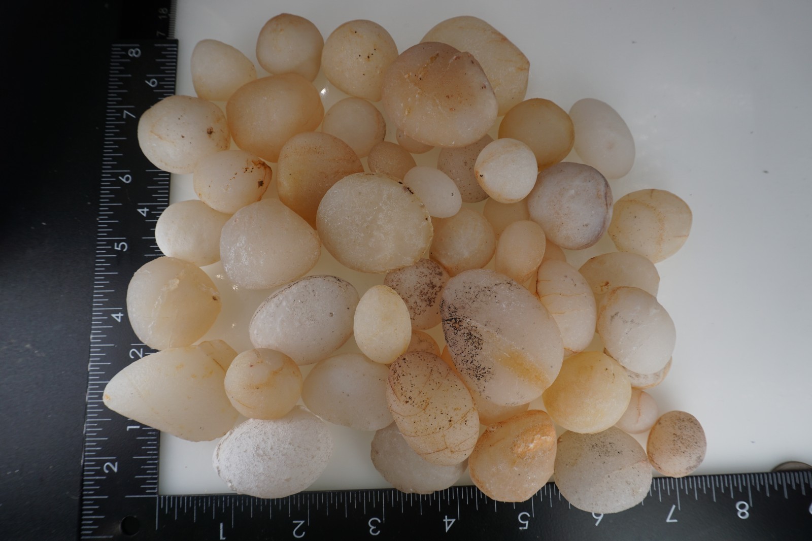 White Sheba - Cintamani - 1000g - More rare than Saffordite Tektite #BLK1
